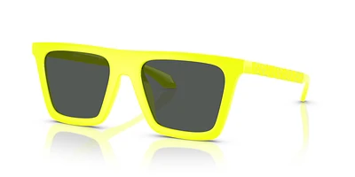 VE4468U