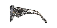 DG4321F