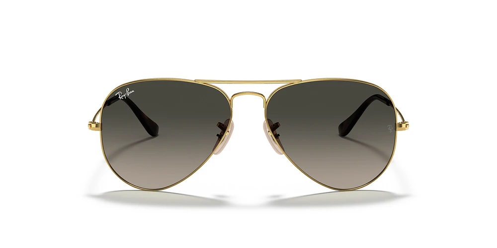 RB3025 Aviator Havana Collection