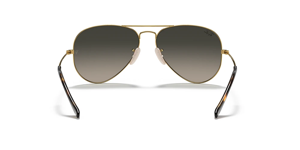 RB3025 Aviator Havana Collection