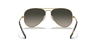 RB3025 Aviator Havana Collection