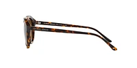 AR8007