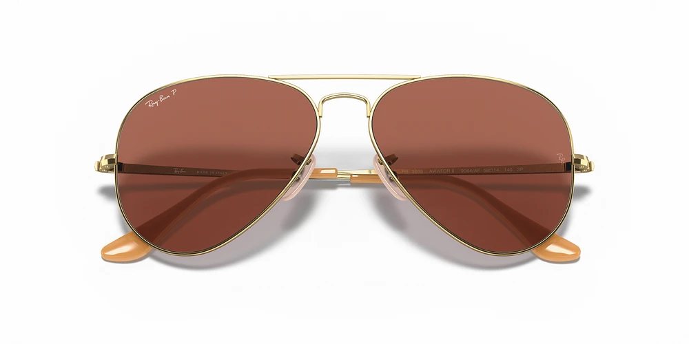 RB3689 Aviator Metal II