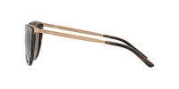 RL8160