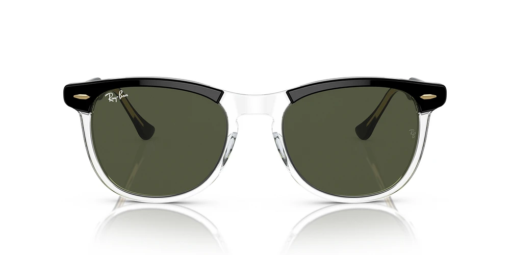RB2398 Eagle Eye