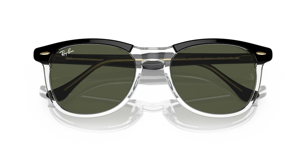 RB2398 Eagle Eye
