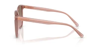 HC8413BD CW419
