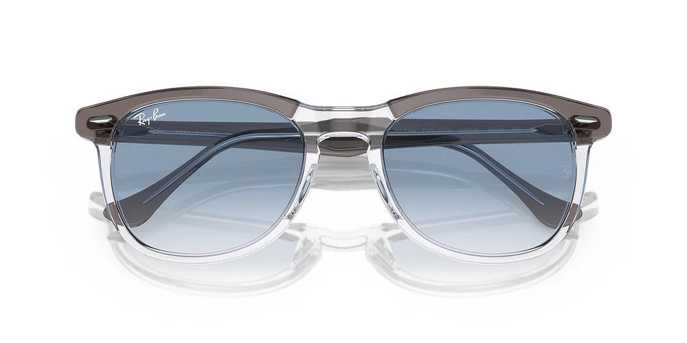 RB2398 Eagle Eye