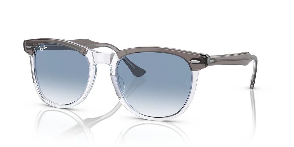 RB2398 Eagle Eye