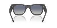 RB4840S Mega Wayfarer Liteforce