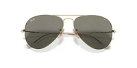 RB3025 Aviator Clear Evolve