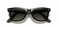 RB2140 Original Wayfarer Color Mix
