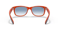 RB2132 New Wayfarer Color Mix