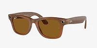 RW4006 Ray-Ban | Meta Wayfarer