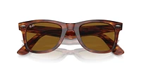 RB2140 Original Wayfarer Classic