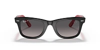 RB2140 Wayfarer Mickey J22