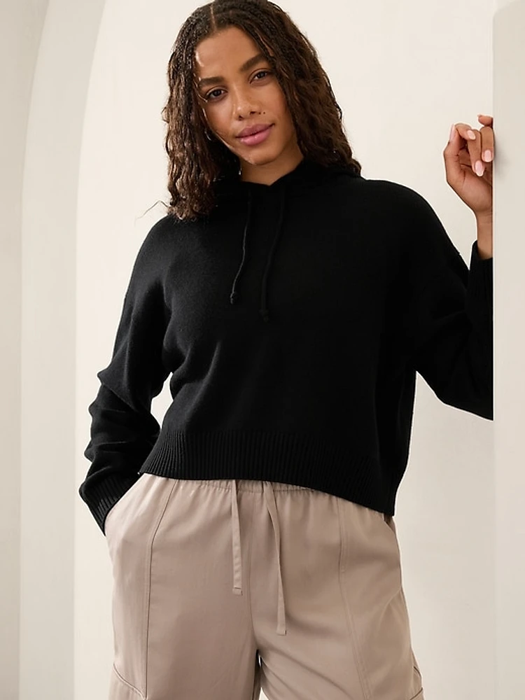 Alpine Cropped Hoodie Sweater