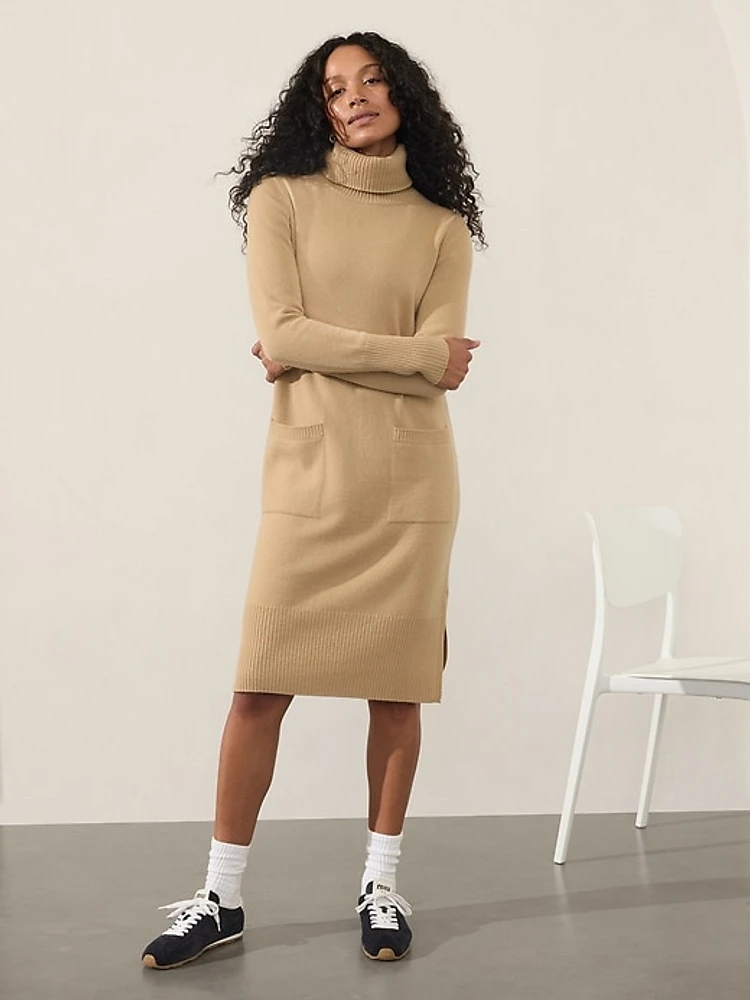 Alpine Turtleneck Sweater Dress