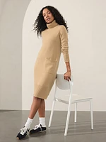 Alpine Turtleneck Sweater Dress