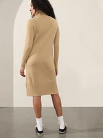 Alpine Turtleneck Sweater Dress