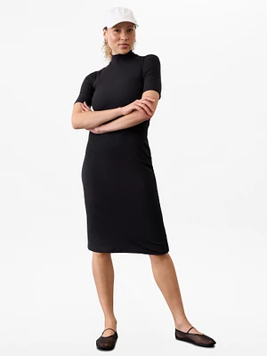 Signature Rib Mock Neck Dress