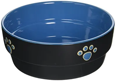 Spot - Dog Dish - Blue Paw