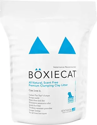 Boxiecat