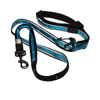 Kurgo - Quantum Dog Leash - Blue