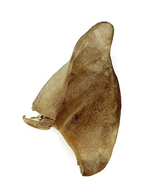 Vital Essentials - Freeze Dried Dog Treat - Pig Ear