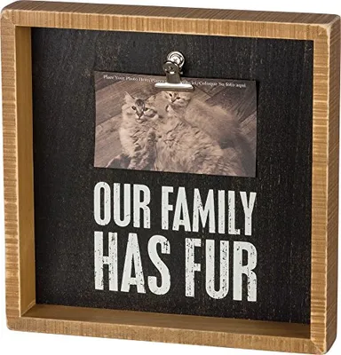 Primitives by Kathy - Box Frame - Our Family Has Fur