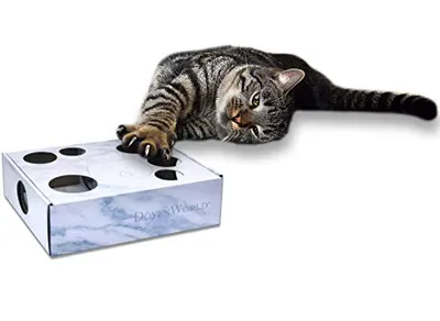 DoyenWorld - Cat Puzzle - Marble Box
