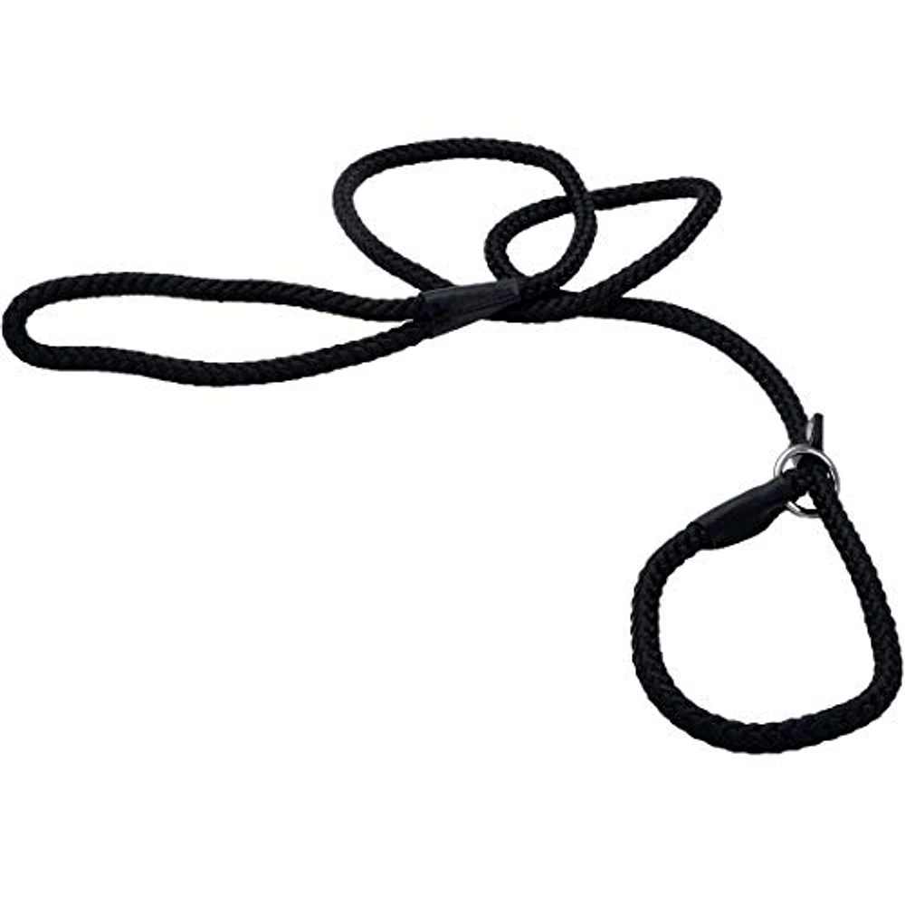 Coastal - Rope Slip Lead