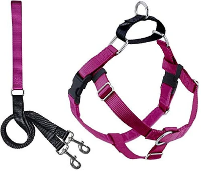 2 Hounds Design - Dog Harness & Leash - Freedom No Pull ,  Raspberry