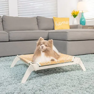 Hauspanther - Pet Lounge