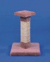 Ware - Cat Scratcher