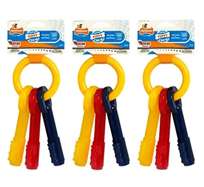 Nylabone - Dog Toy - Puppy Teething Keys