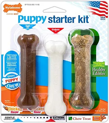 Nylabone - Dog Toy - Puppy Starter Kit - Chicken