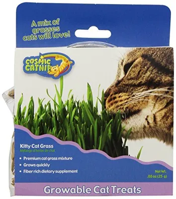 - Cat Nip - Cosmic Kitty Cat Grass
