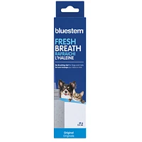 bluestem - Brushless Toothpaste Gel