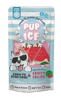 Ethical Pet - Dog Chew - Pup Ice Fruity Lollies Watermelon