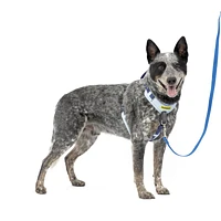 PetSafe - Dog Harness