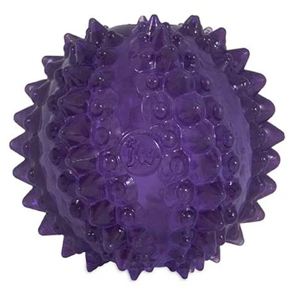 JW - Puppy Toy - Bristl-ee Cactus Ball