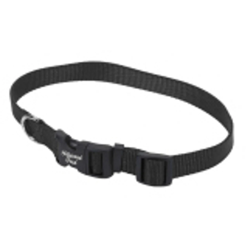 Nylon Dog Collar