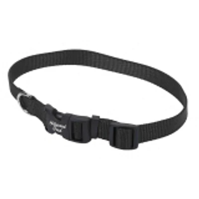 Nylon Dog Collar - Black