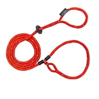 Harness Lead - Dog Leash & Harness