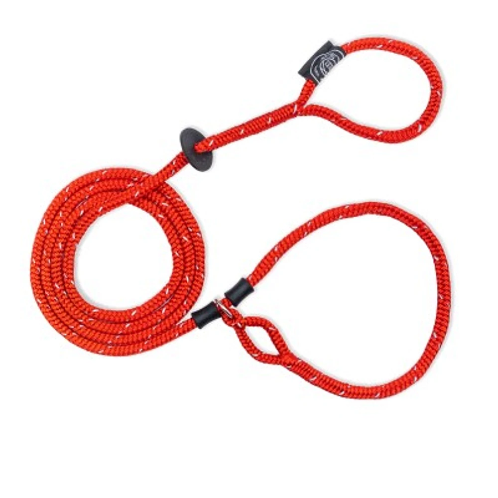 Harness Lead - Dog Leash & Harness