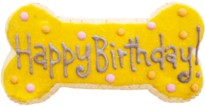 Hollywood Feed - Yellow Birthday Cookie