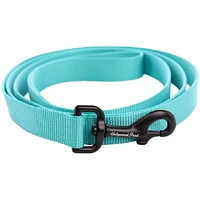 Nylon Dog Leash - Teal