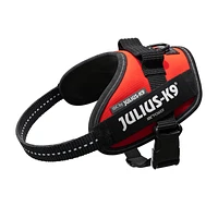 Julius-K9 - Dog Harness