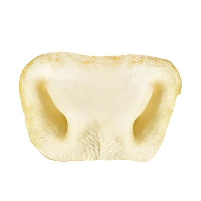 Made In South America - Dog Chew - Moozle